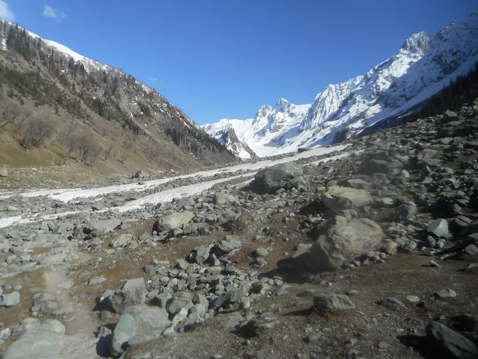 Photo of Thajiwas glacier, Forest Block by Tanushree Jain