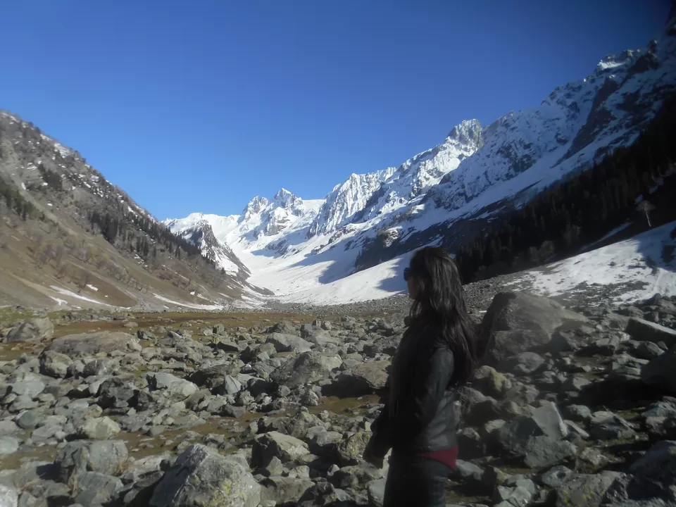 Photo of Thajiwas glacier, Forest Block by Tanushree Jain