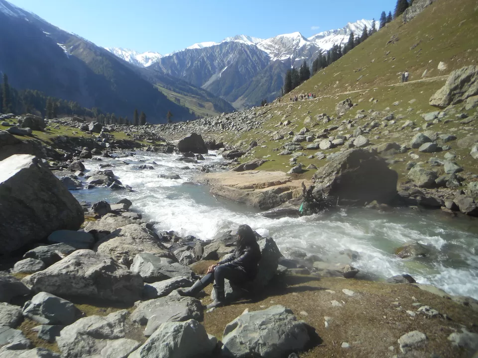 Photo of Thajiwas glacier, Forest Block by Tanushree Jain