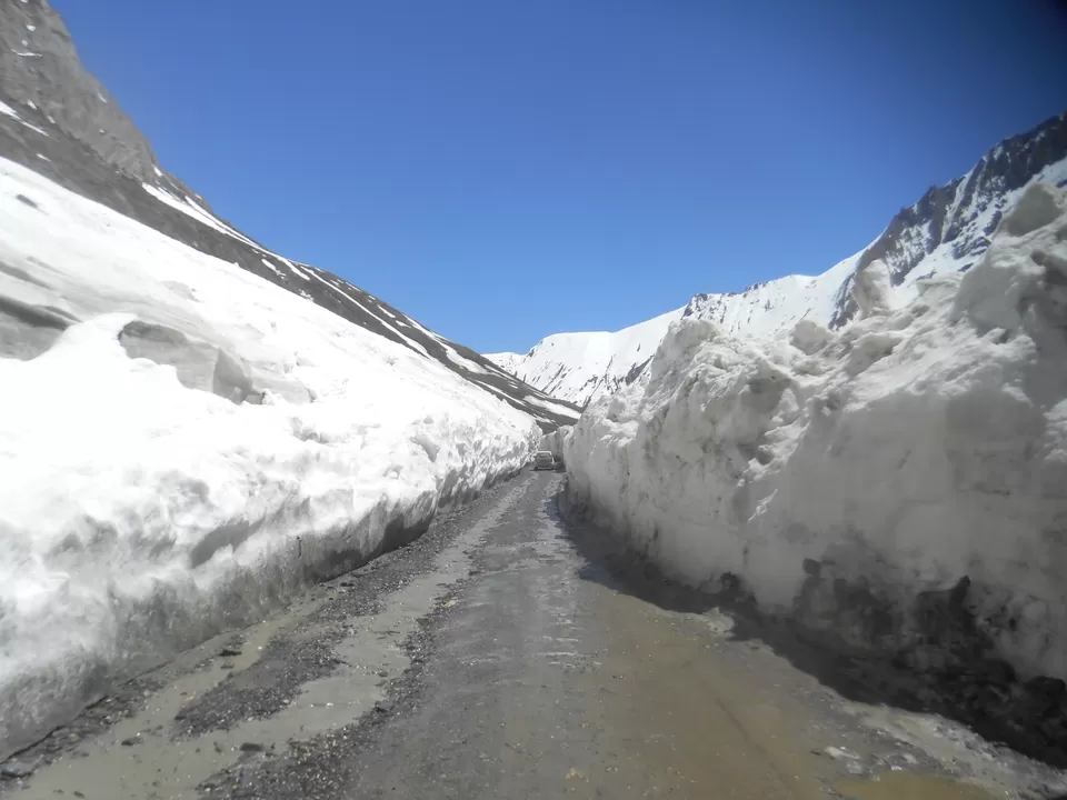 Photo of Zojila Pass, Forest Block by Tanushree Jain