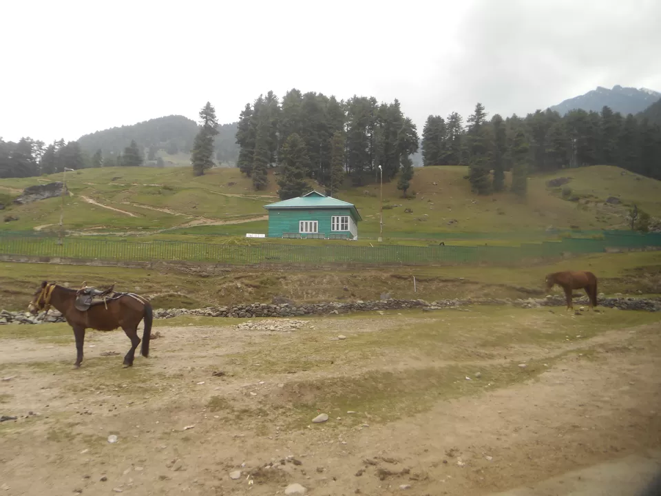 Photo of Aru Valley, Pahalgam by Tanushree Jain