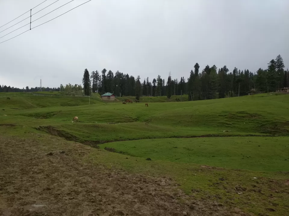 Photo of Yusmarg, Forest Block by Tanushree Jain