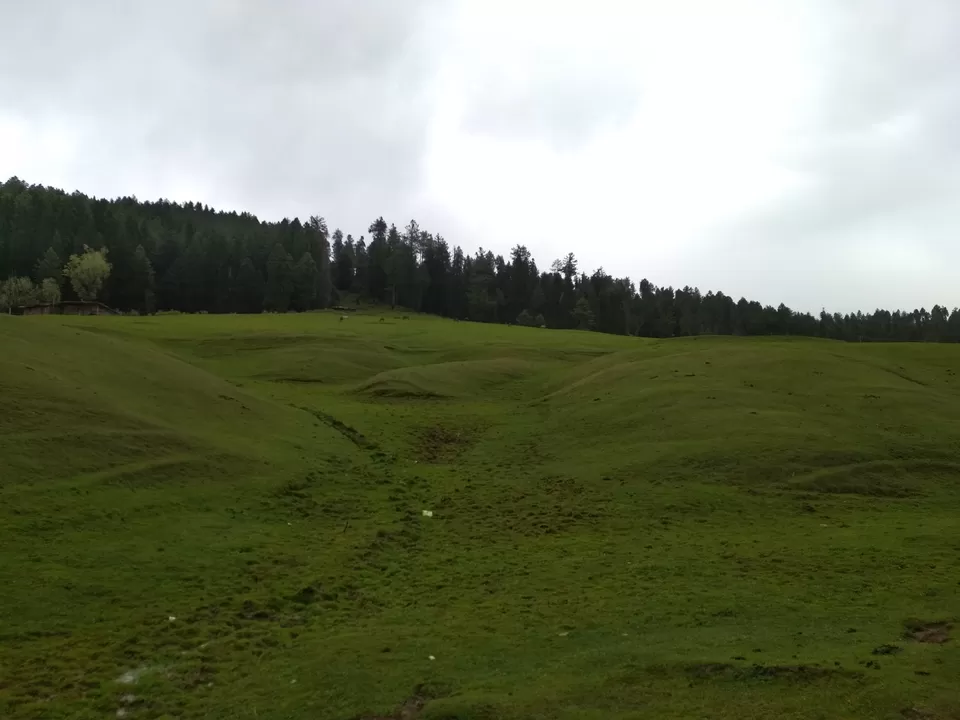 Photo of Yusmarg, Forest Block by Tanushree Jain