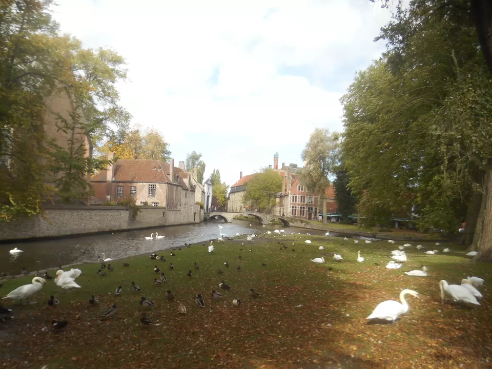 Photo of Bruges, Belgium by Tanushree Jain
