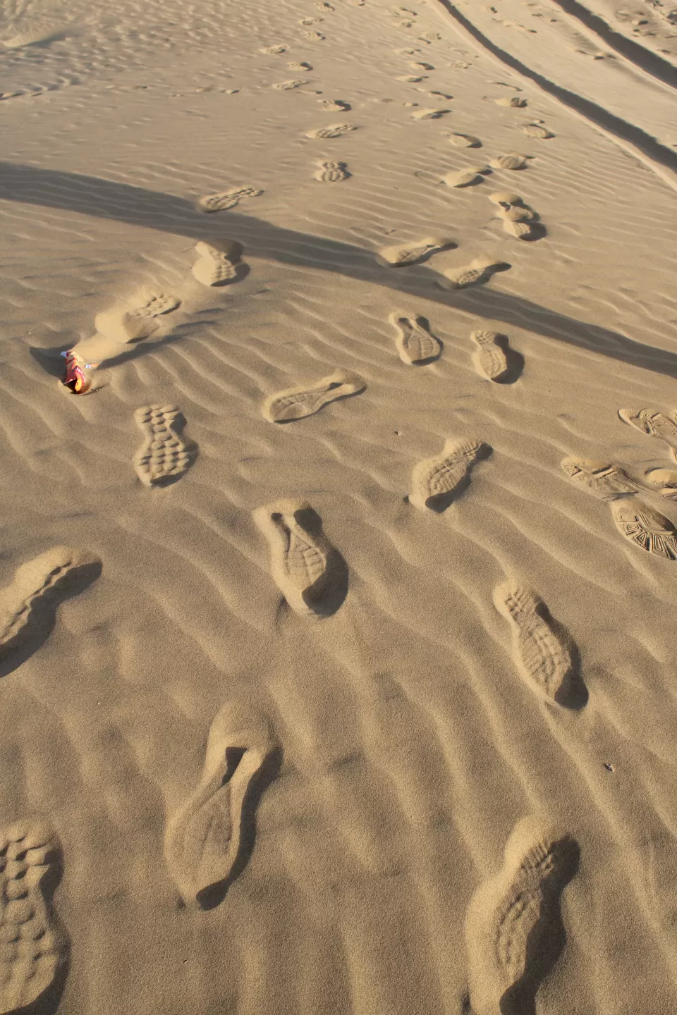 Photo of Sam Sand Dunes, Sand Dunes, Sam, Rajasthan, India by Tanushree Jain