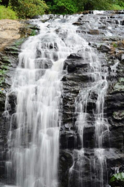 Photo of Abbey Falls Walking Trail, Hebbettageri, Karnataka, India by Pria