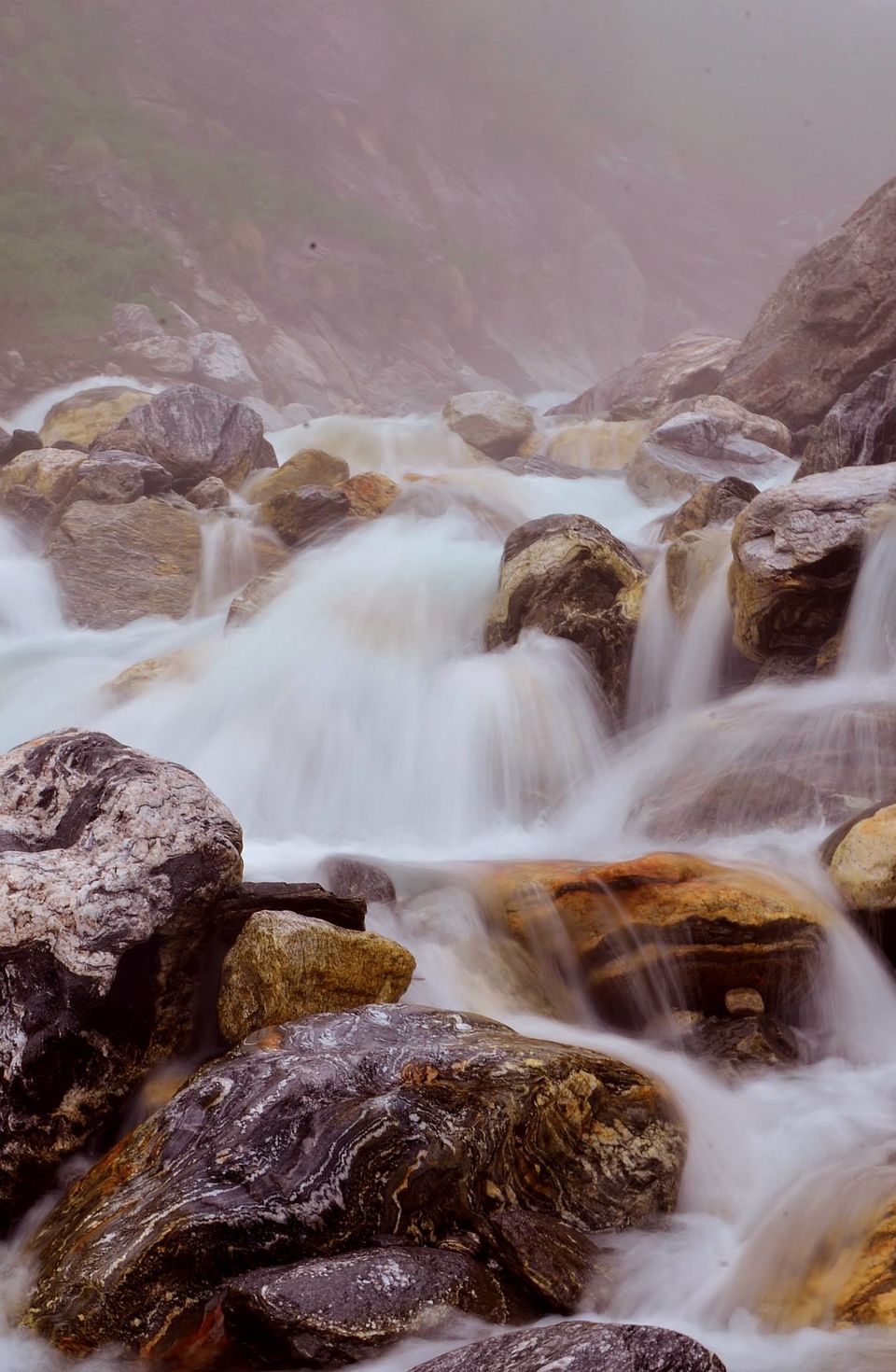 Photo of Nature's canvas: Valley of Flowers 1/31 by Pria