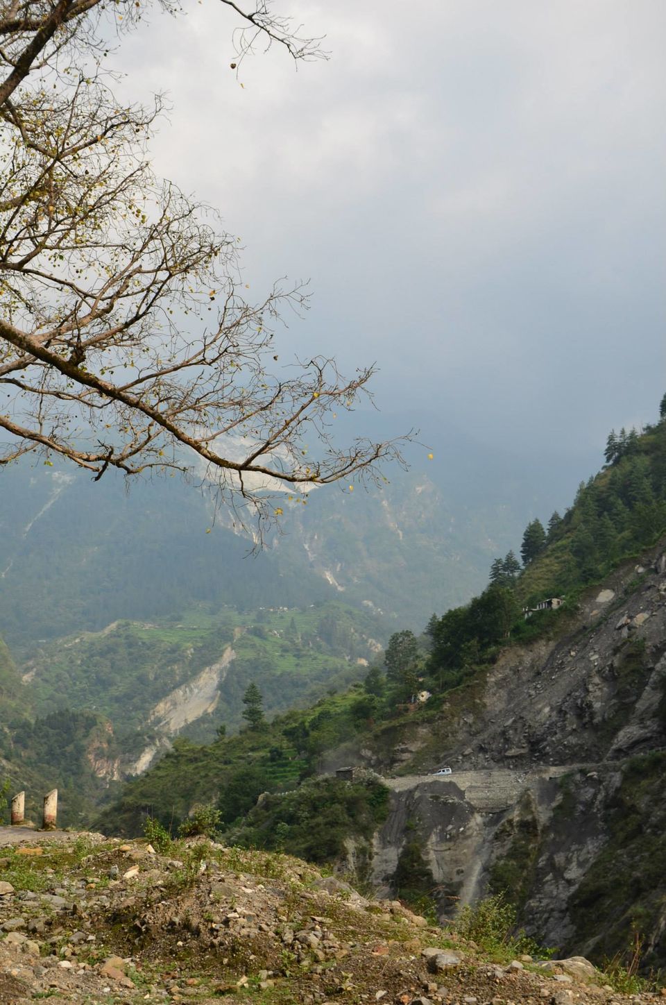 Photo of Nature's canvas: Valley of Flowers 5/31 by Pria