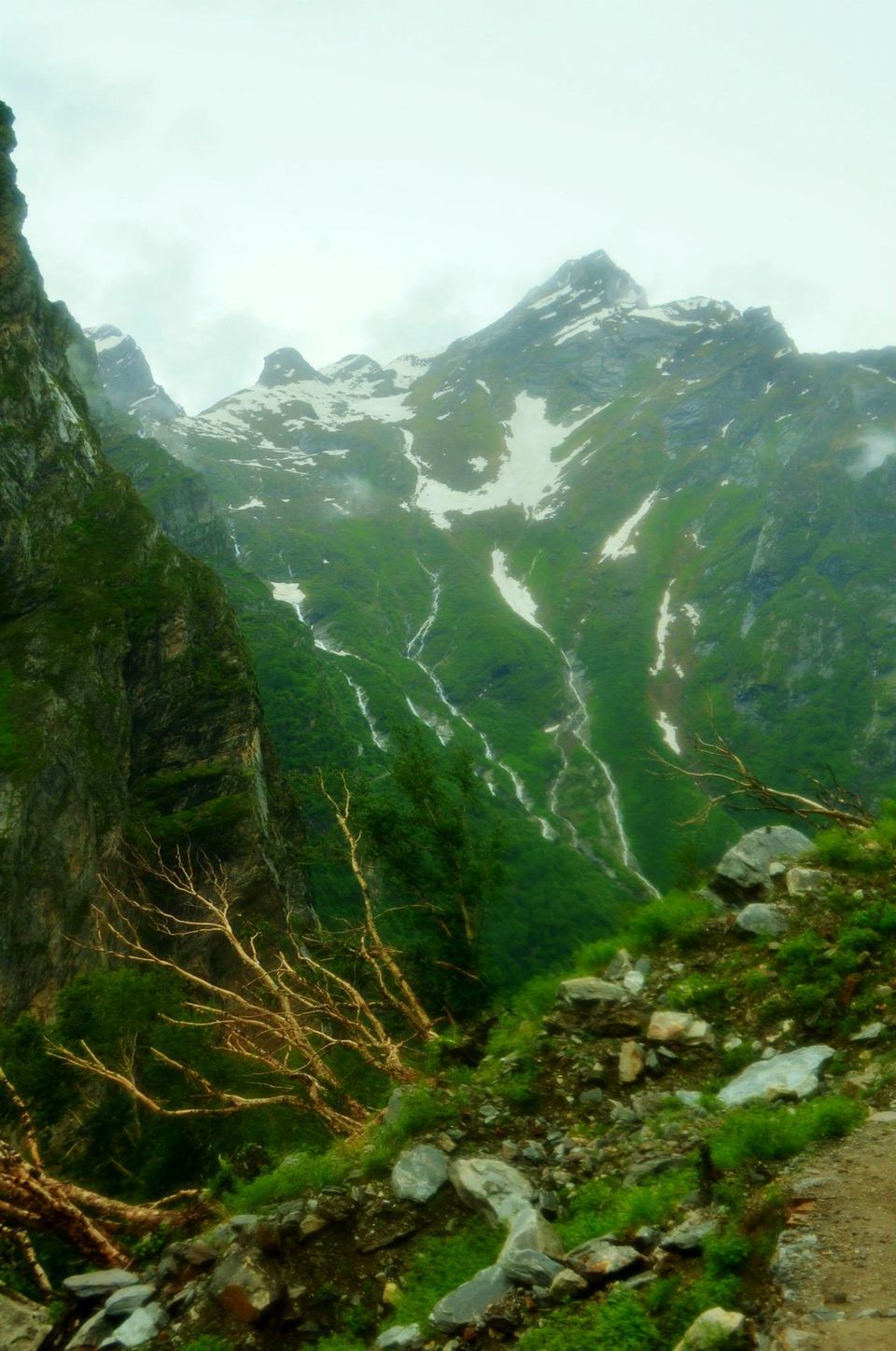 Photo of Nature's canvas: Valley of Flowers 23/31 by Pria