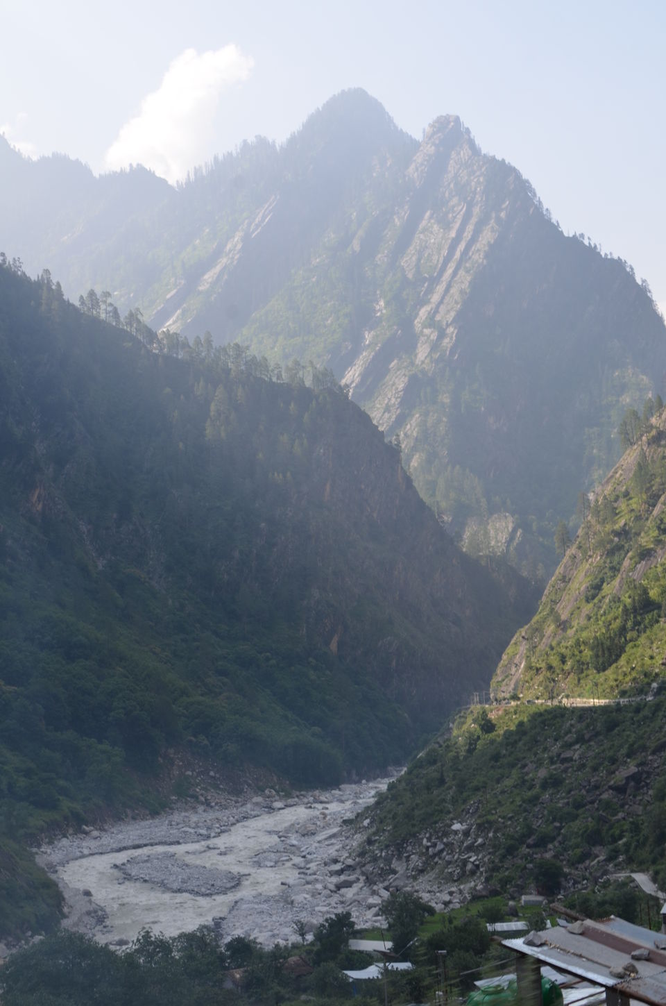 Photo of Nature's canvas: Valley of Flowers 27/31 by Pria