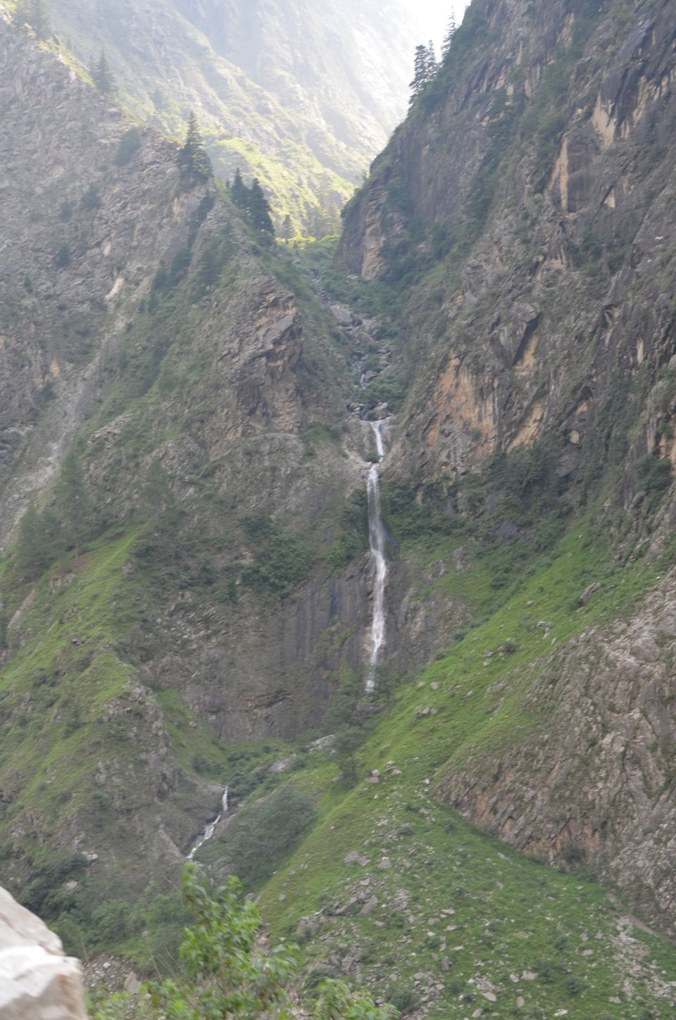 Photo of Nature's canvas: Valley of Flowers 28/31 by Pria