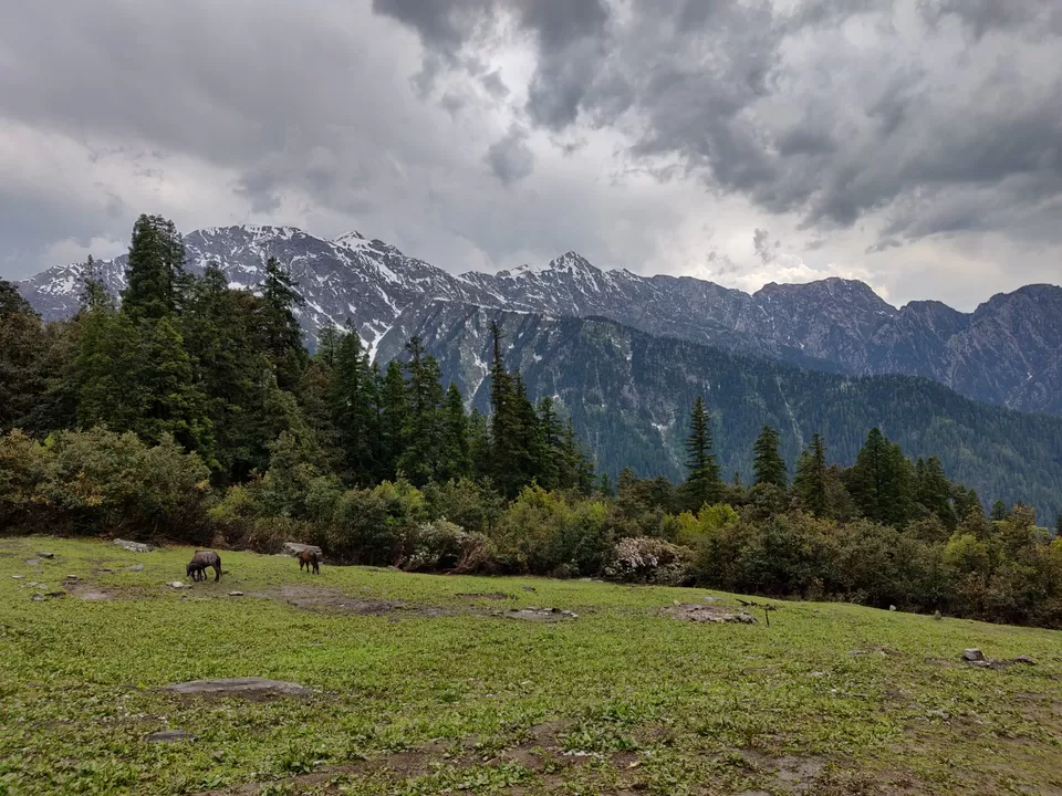 Photo of Sar Pass Trek By Frantic_Feets