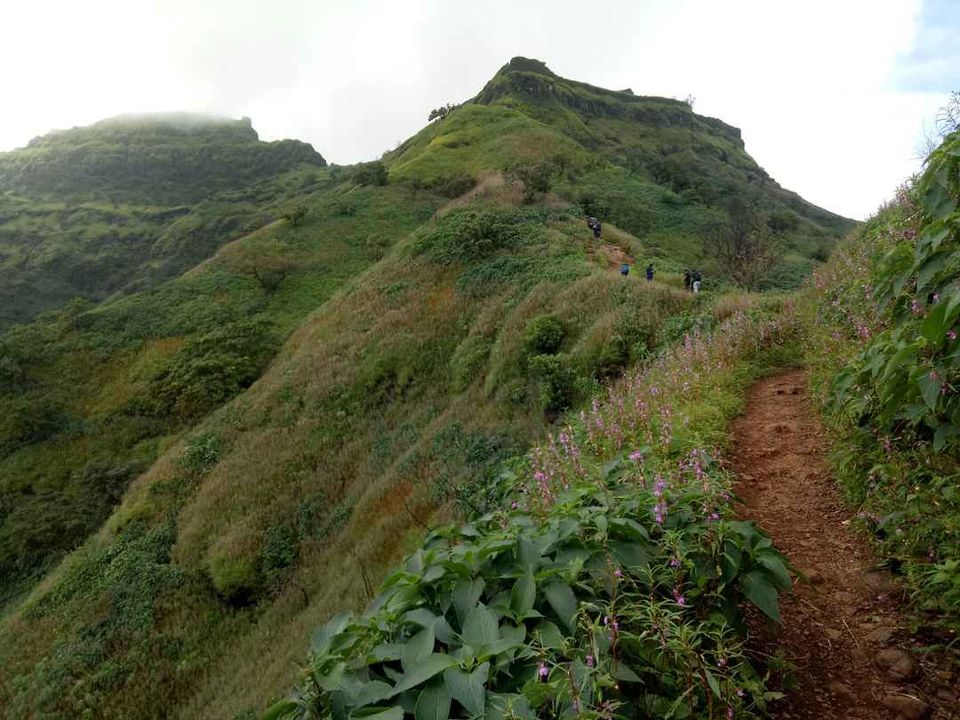 Photo of Historical Range Trek from Mighty Rajgad to Massive Torna.. 6/44 by Frantic_Feets
