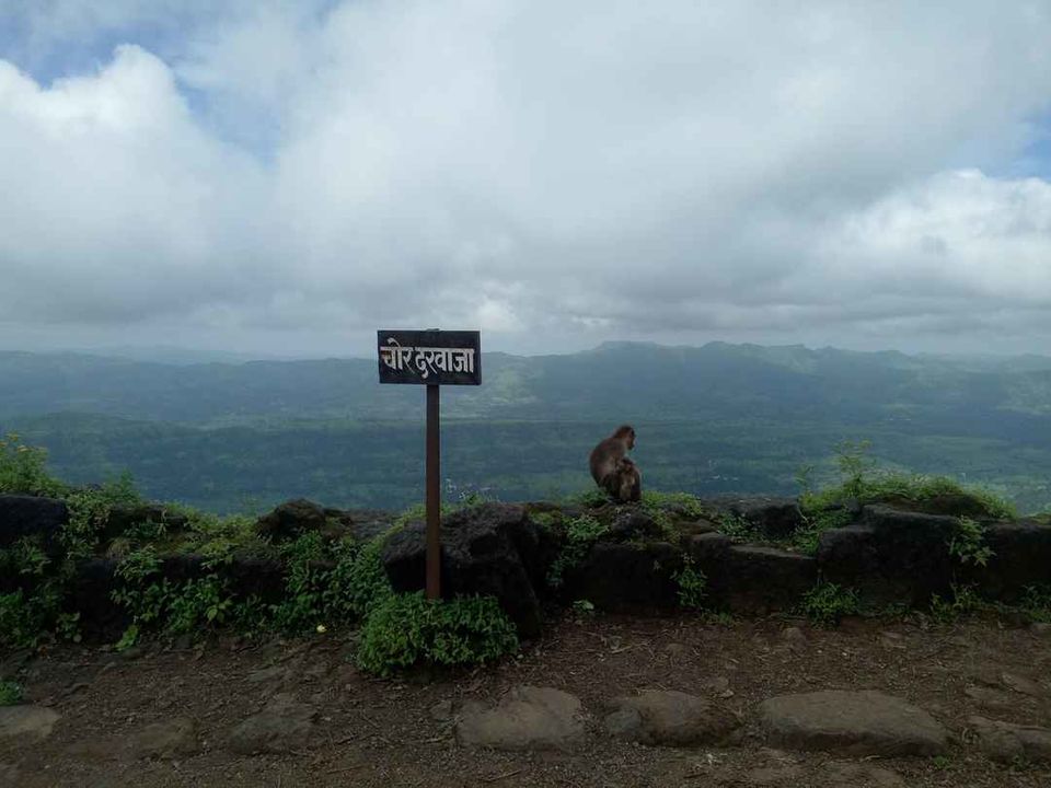 Photo of Historical Range Trek from Mighty Rajgad to Massive Torna.. 12/44 by Frantic_Feets