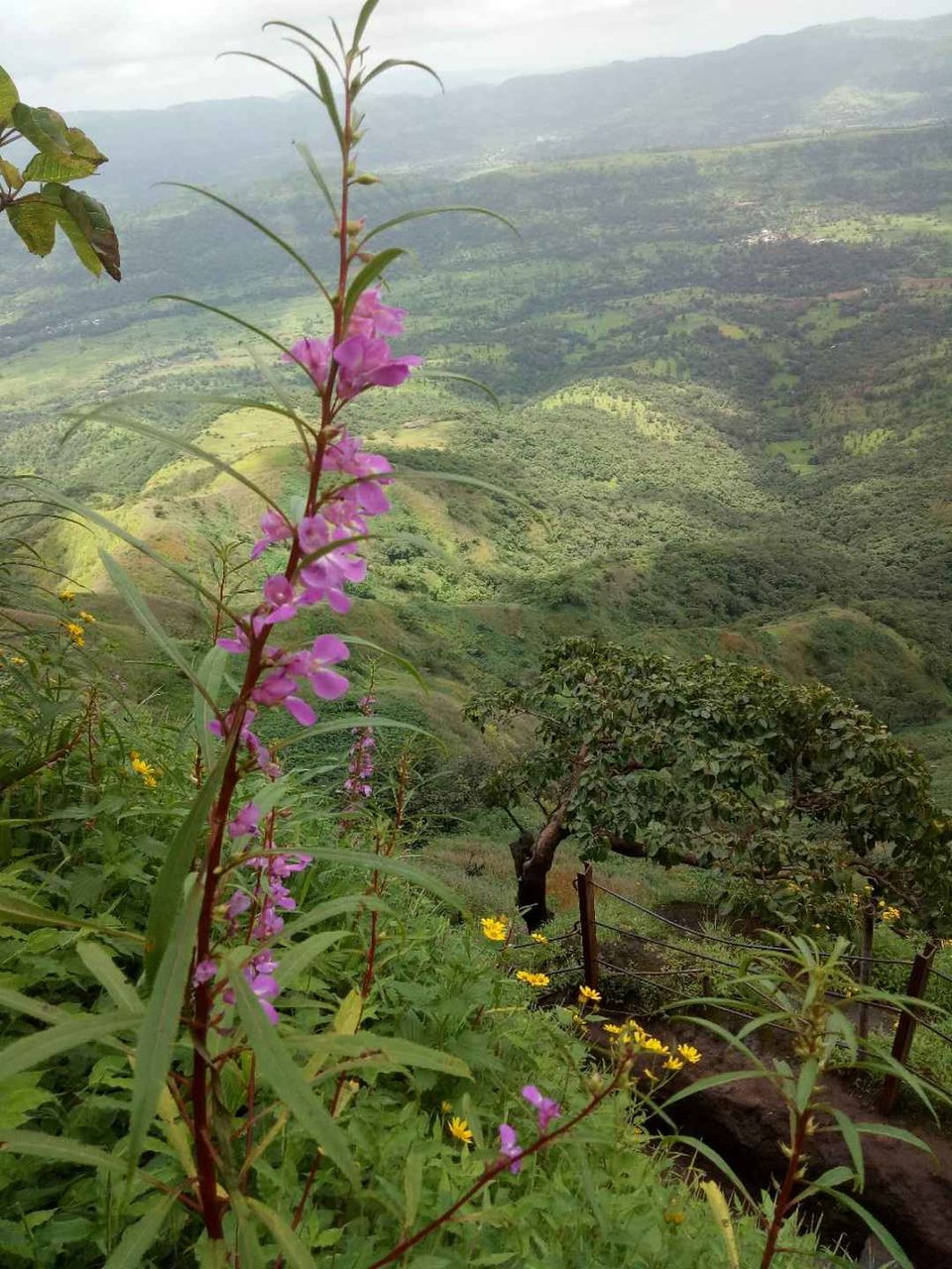 Photo of Historical Range Trek from Mighty Rajgad to Massive Torna.. 9/44 by Frantic_Feets