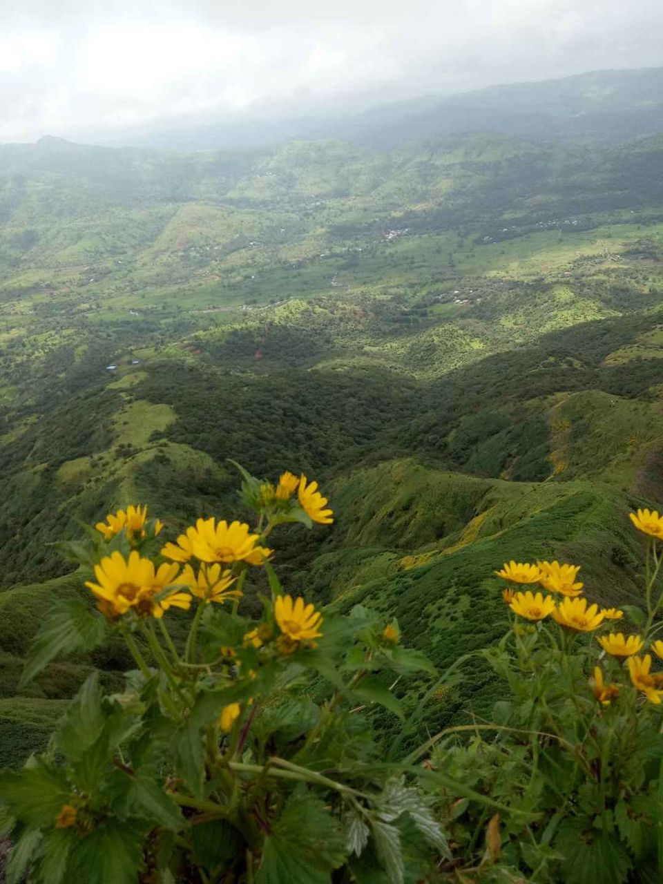 Photo of Historical Range Trek from Mighty Rajgad to Massive Torna.. 11/44 by Frantic_Feets