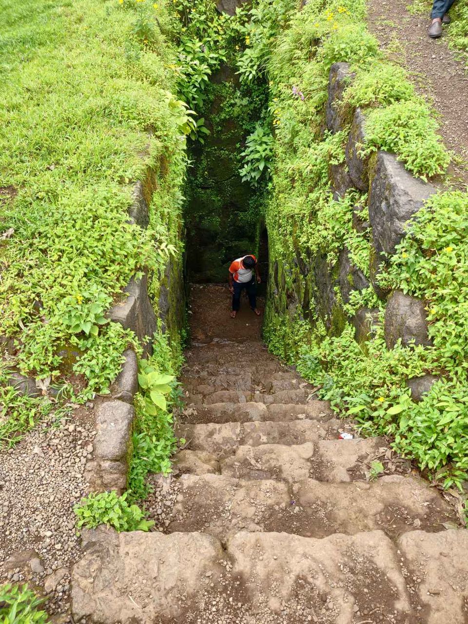 Photo of Historical Range Trek from Mighty Rajgad to Massive Torna.. 10/44 by Frantic_Feets