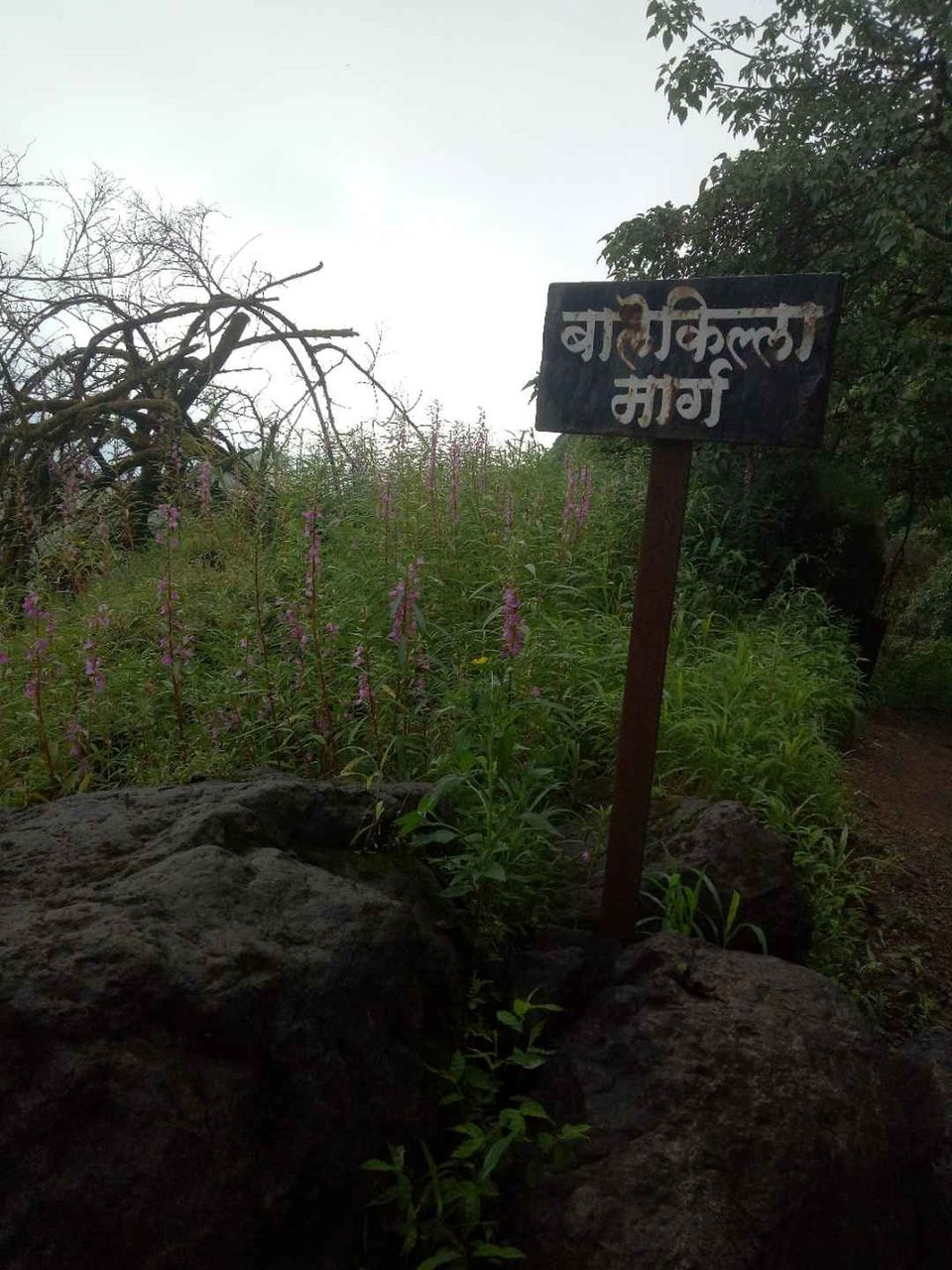 Photo of Historical Range Trek from Mighty Rajgad to Massive Torna.. 23/44 by Frantic_Feets