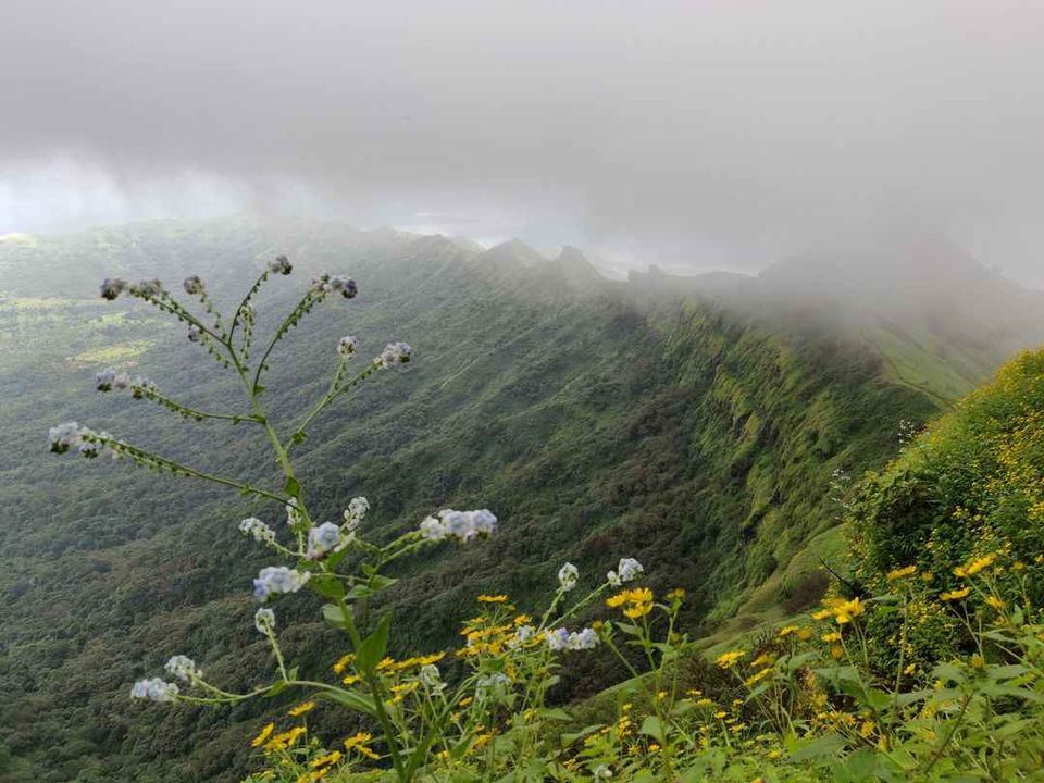 Photo of Historical Range Trek from Mighty Rajgad to Massive Torna.. 26/44 by Frantic_Feets