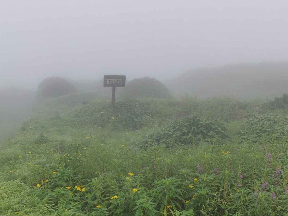 Photo of Historical Range Trek from Mighty Rajgad to Massive Torna.. 31/44 by Frantic_Feets