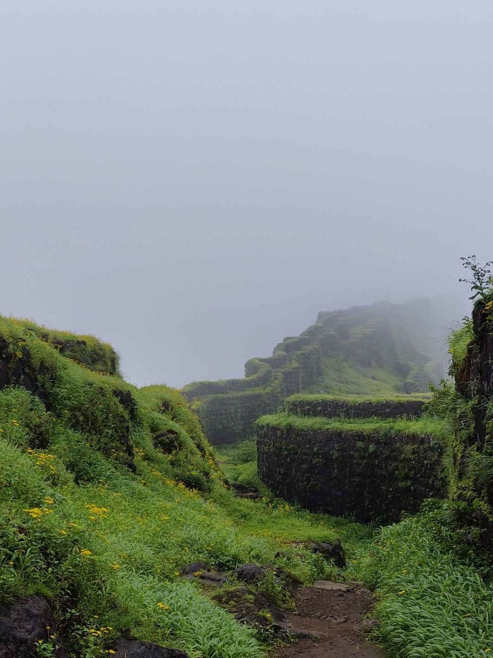 Photo of Historical Range Trek from Mighty Rajgad to Massive Torna.. 40/44 by Frantic_Feets