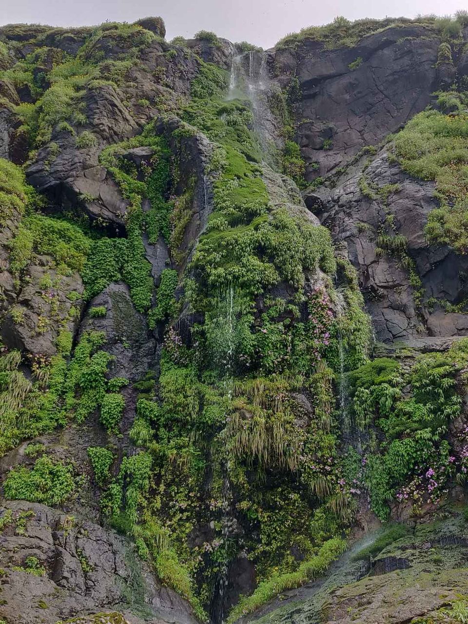 Photo of Historical Range Trek from Mighty Rajgad to Massive Torna.. by Frantic_Feets