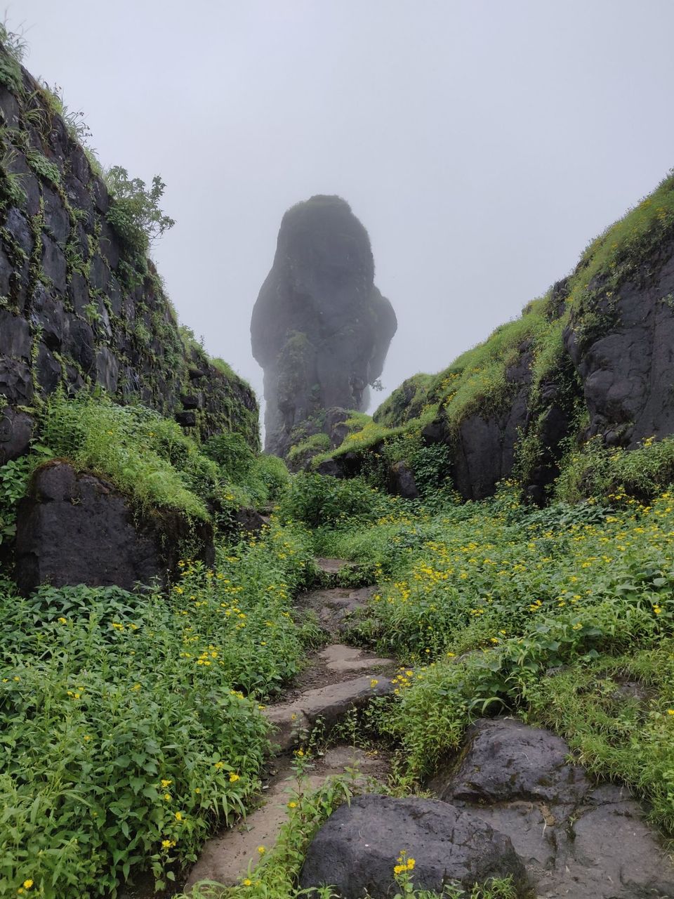 Photo of Historical Range Trek from Mighty Rajgad to Massive Torna.. 37/44 by Frantic_Feets