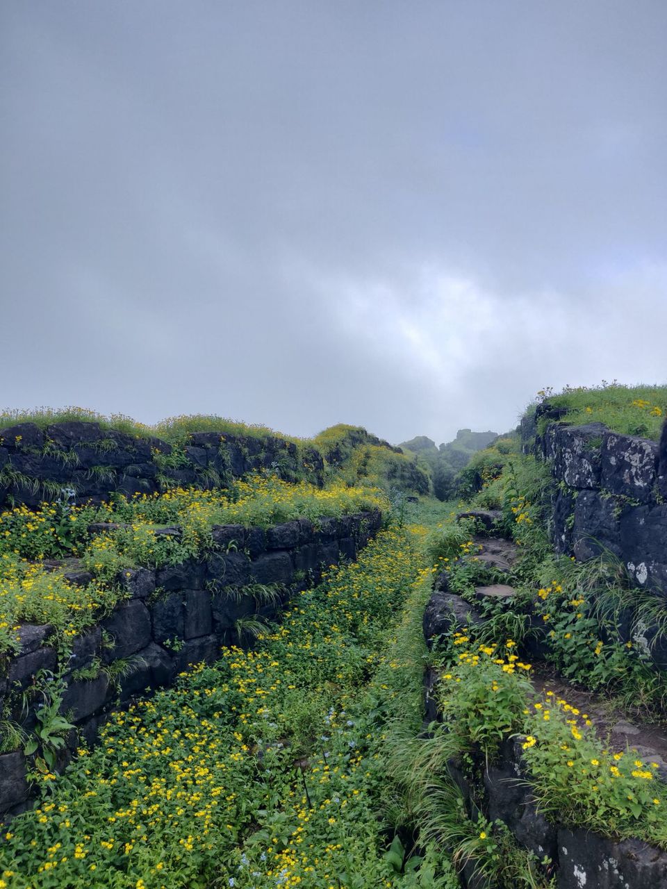 Photo of Historical Range Trek from Mighty Rajgad to Massive Torna.. 38/44 by Frantic_Feets