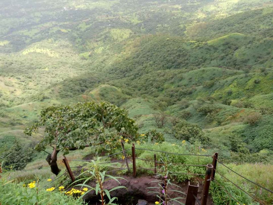 Photo of Historical Range Trek from Mighty Rajgad to Massive Torna.. 7/44 by Frantic_Feets