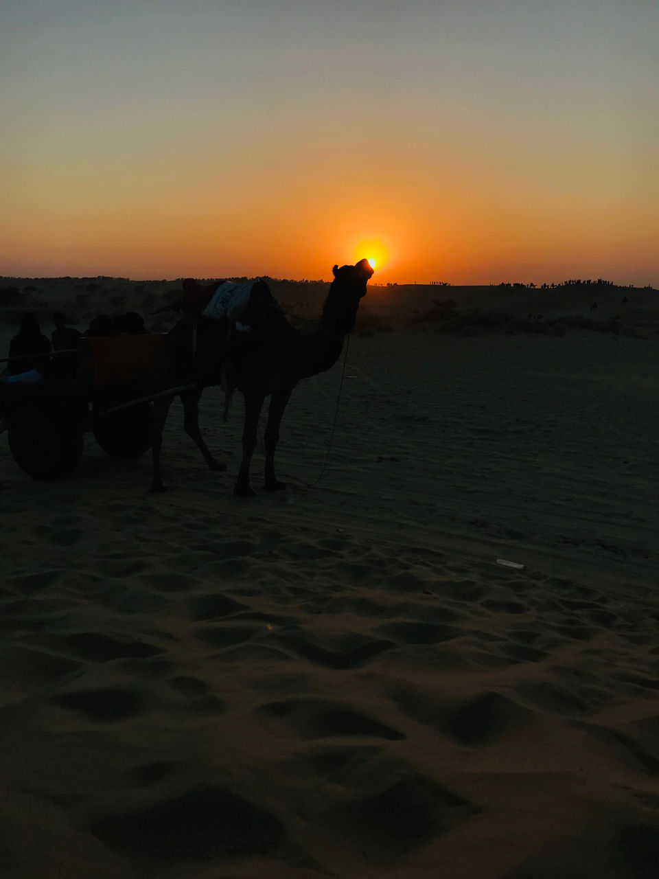 Photo of Rajasthan trip #rajasthaninphotos by Faraz Khan