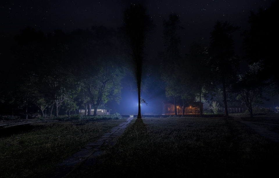 Photo of Jim Corbett National Park, Ramnagar, Uttarakhand, India by Ankit Shukla