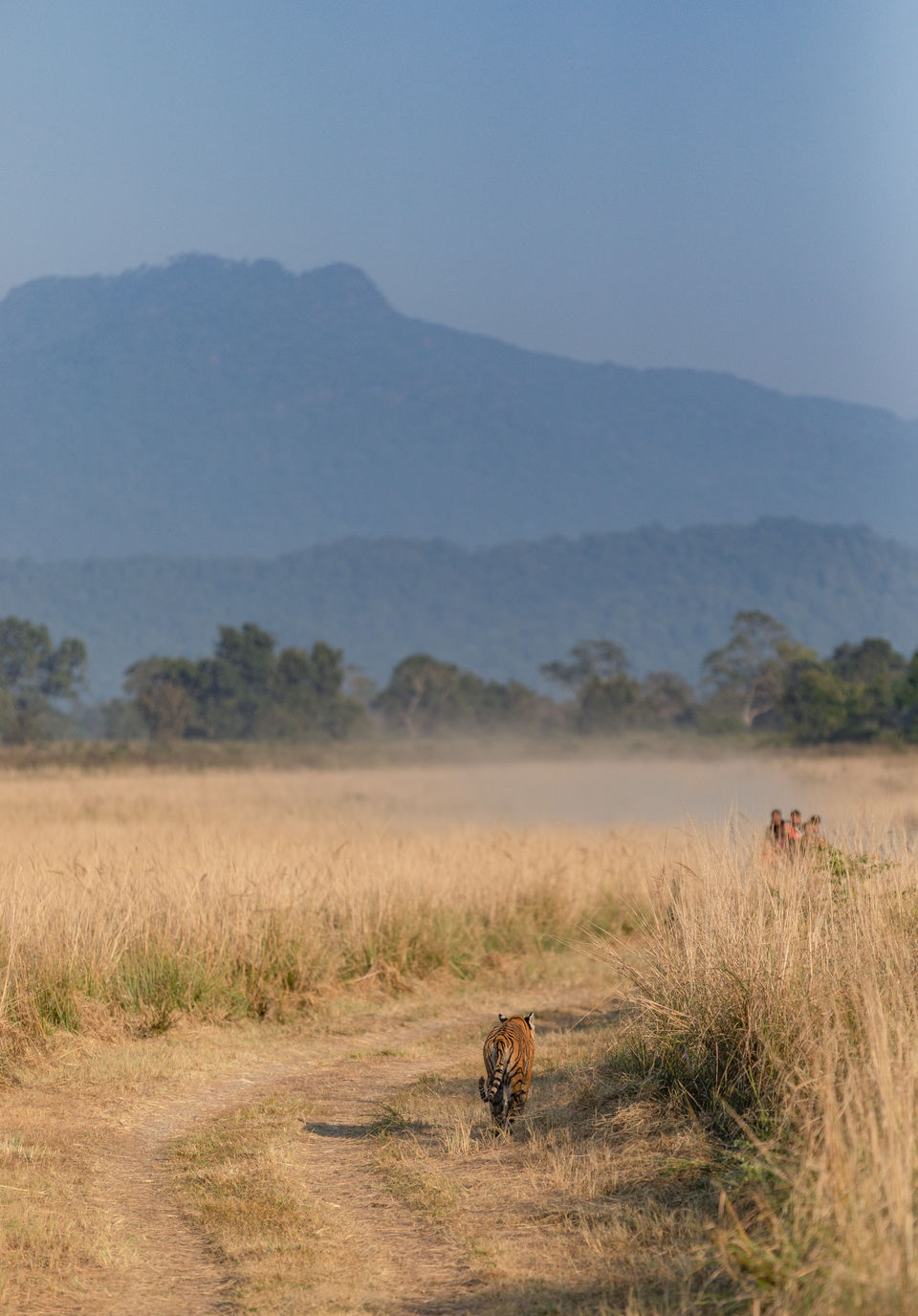 Photo of Corbett- The Land of Trumpets & Roars 5/10 by Ankit Shukla