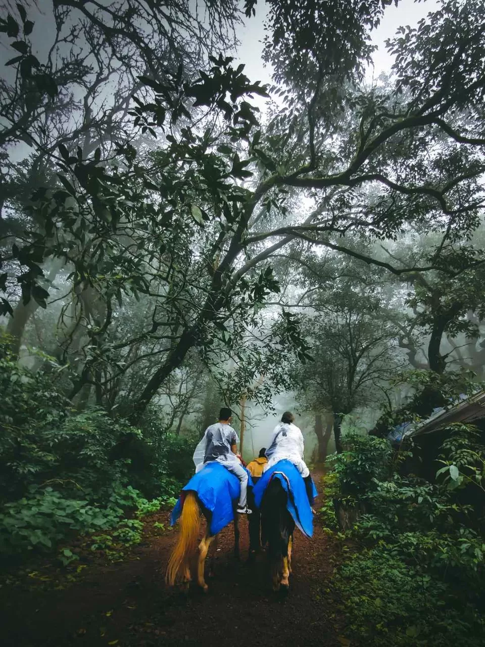 Photo of Matheran Hill Station, कस्तुरबा रोड, Matheran, Maharashtra, India by Vishal Khomane