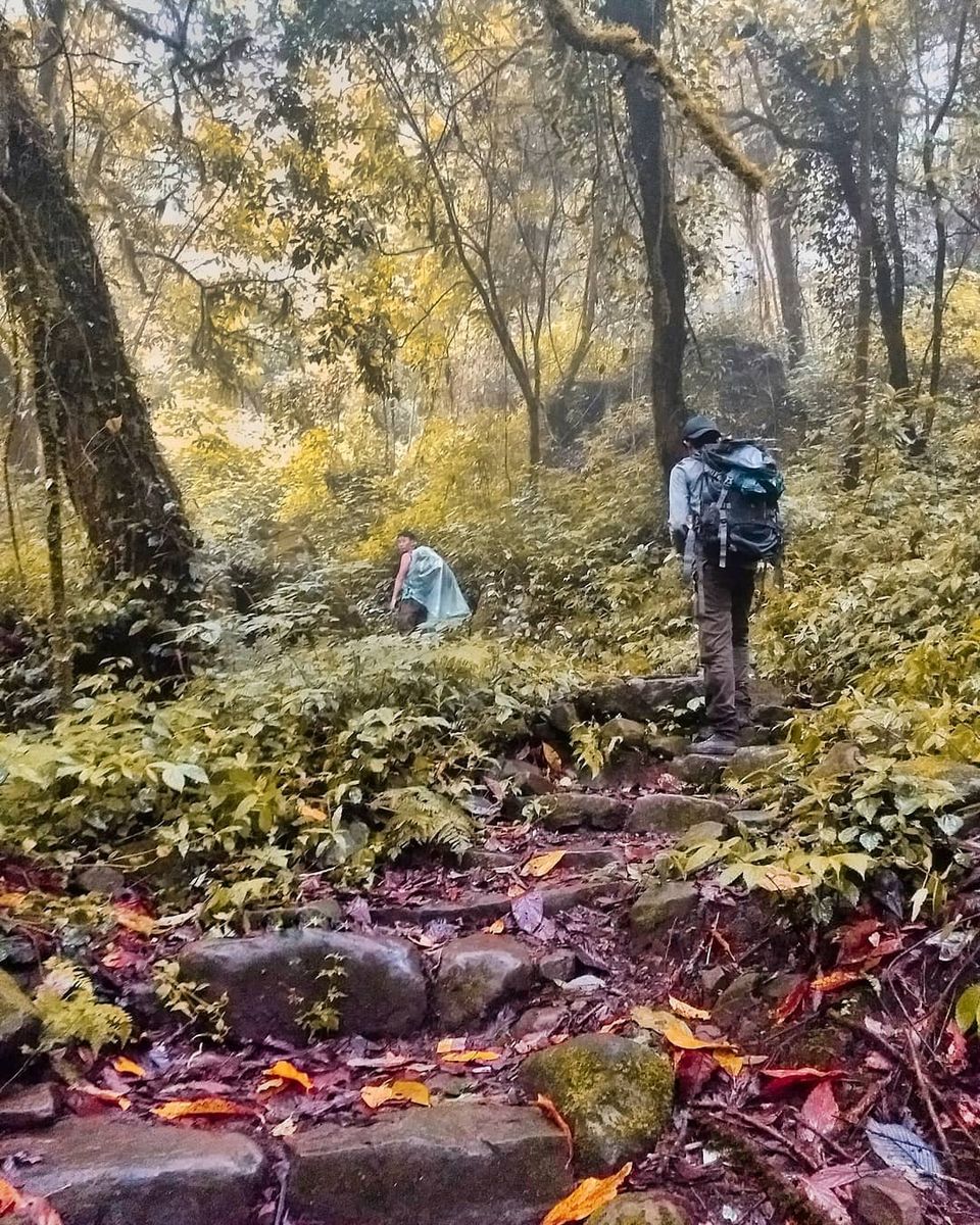 Photo of Things you have to know before travelling to Dzukou. by Angshuman Sonowal