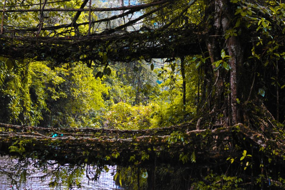 Photo of The best kept secret of Meghalaya - Nongriat by Angshuman Sonowal