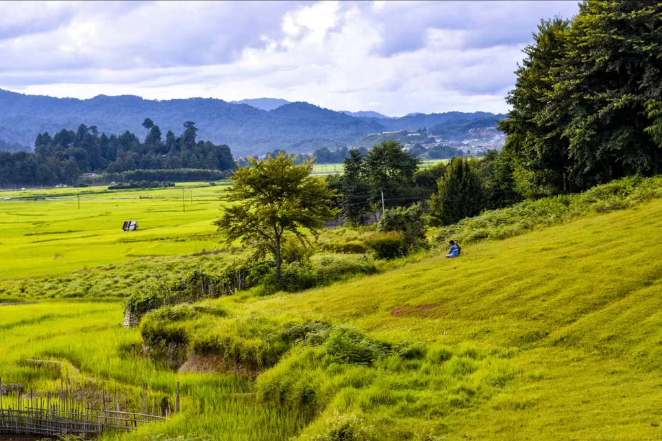 Photo of Ziro by Angshuman Sonowal