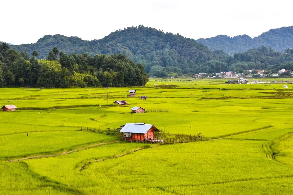 Photo of Here's how you reach Ziro Valley - the cloistered little paradise of Arunachal Pradesh ! #notinnorth by Angshuman Sonowal