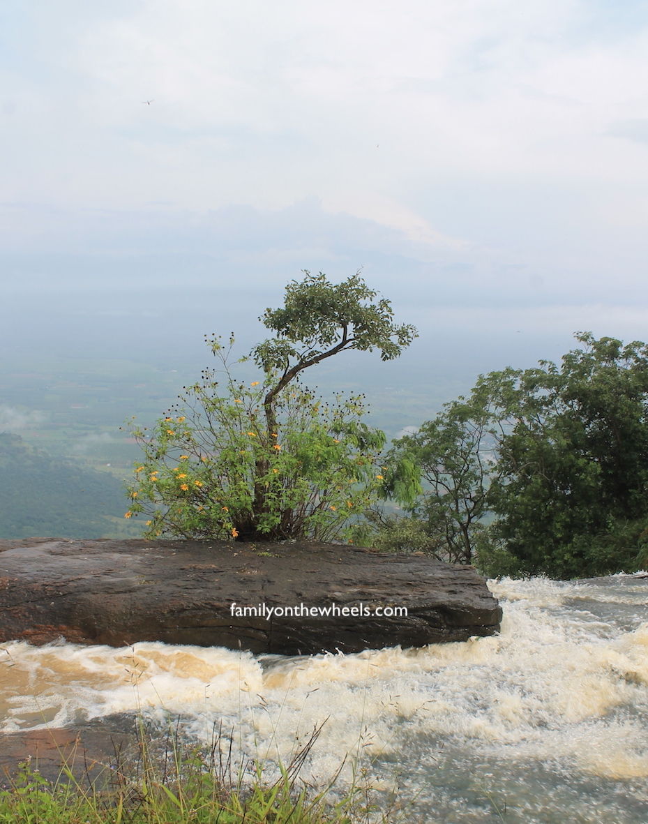 Photo of Chellarkovil , A beautiful point while road tripping from Munnar to Thekkady, Kerala - Family on the 1/5 by Family on the wheels