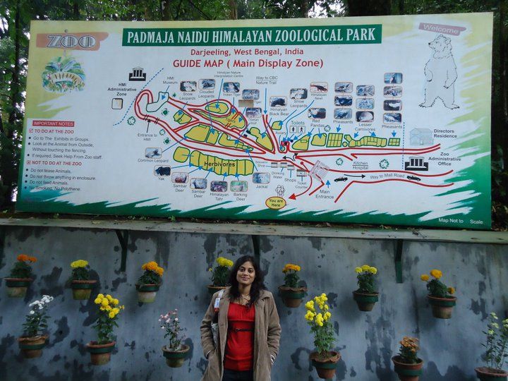 Photo of Darjeeling - The queen of Hill stations - Family on the wheels 4/5 by Family on the wheels