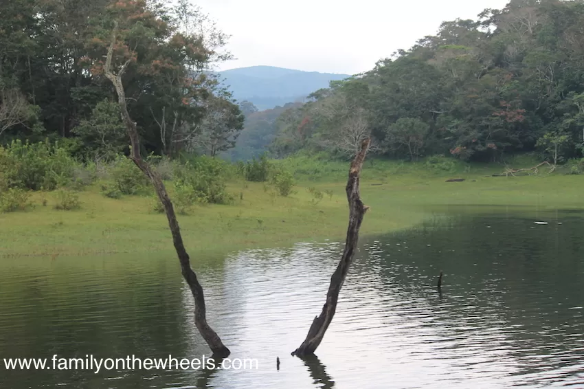 Photo of Periyar National Park, Kerala, India by Family on the wheels