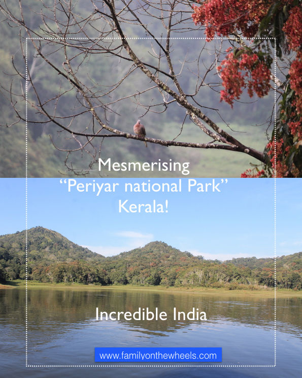 Photo of Periyar National Park , Thekkady Kerala - Family on the wheels 1/1 by Family on the wheels