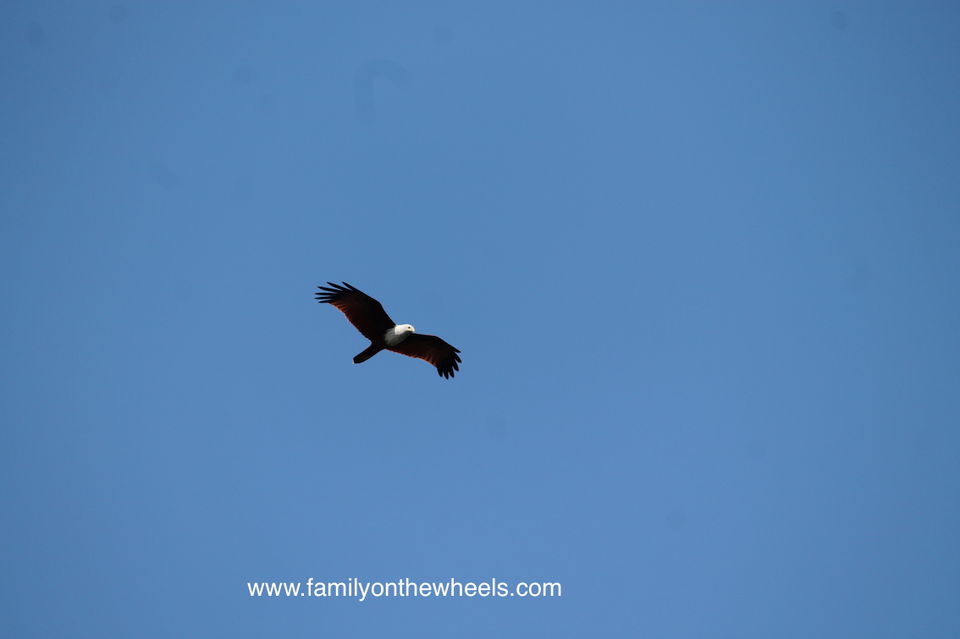 Photo of Periyar National Park , Thekkady Kerala - Family on the wheels by Family on the wheels