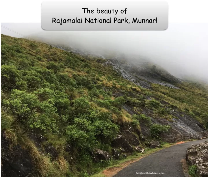 Photo of Eravikulam National Park, Eravikulam National Park Road, Kannan Devan Hills, Kerala, India by Family on the wheels