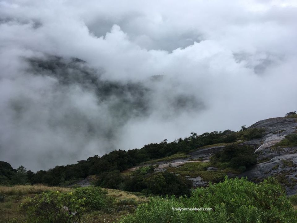 Photo of Travel guide to Eravikulam - Rajamalai National Park, Munnar, Kerala - Family on the wheels by Family on the wheels