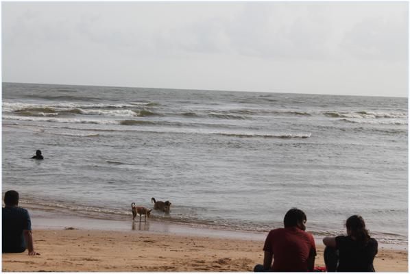 Photo of GOAN ardour : Family on the wheels Part 1 by Family on the wheels