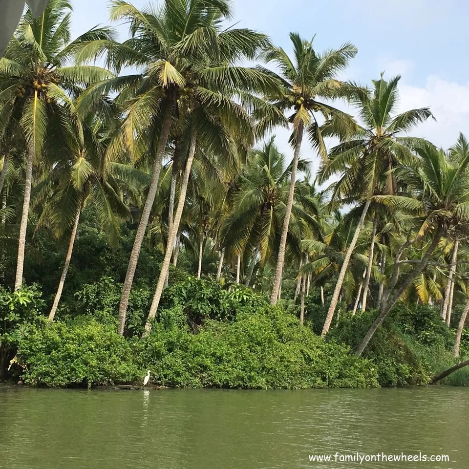 Photo of Poovar, Kerala, India by Family on the wheels 