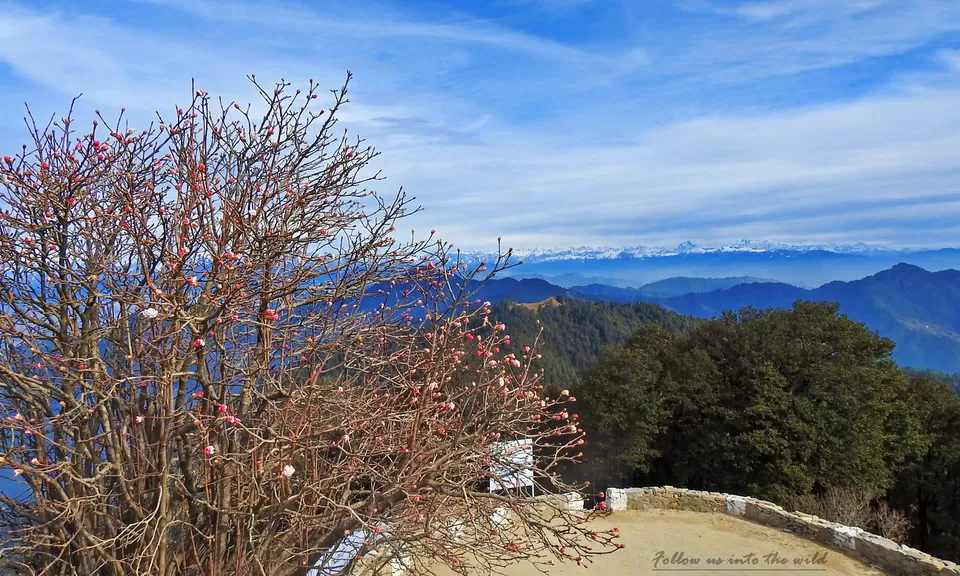 Photo of Hatu Temple, Hatu, Narkand, Himachal Pradesh, India by Riya Malakar