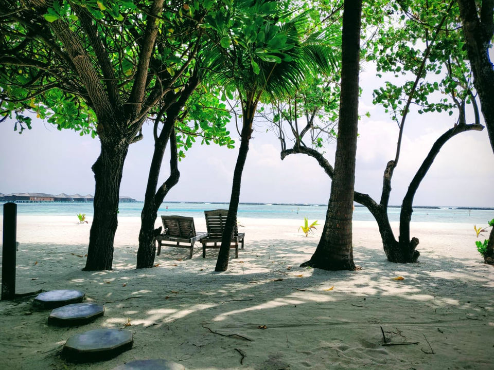 Photo of Paradise Island Resort, Maldives, Maldives by Nidarshana Ray
