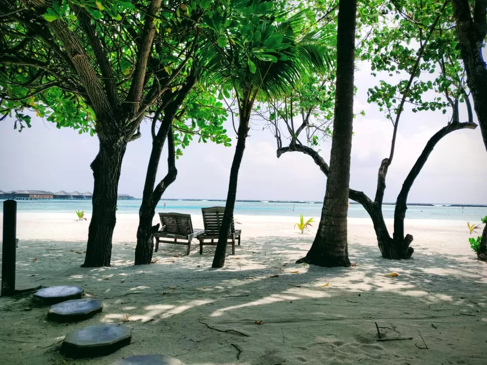 Photo of Paradise Island Resort, Maldives, Maldives by Nidarshana Ray