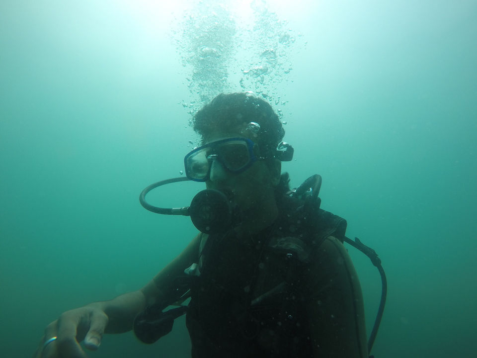 Photo of Oblivious near the ocean in Andamans 1/56 by Swarnava Mukherjee